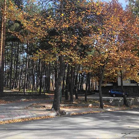 Borov Park 1 Lägenhet Velingrad Exteriör bild