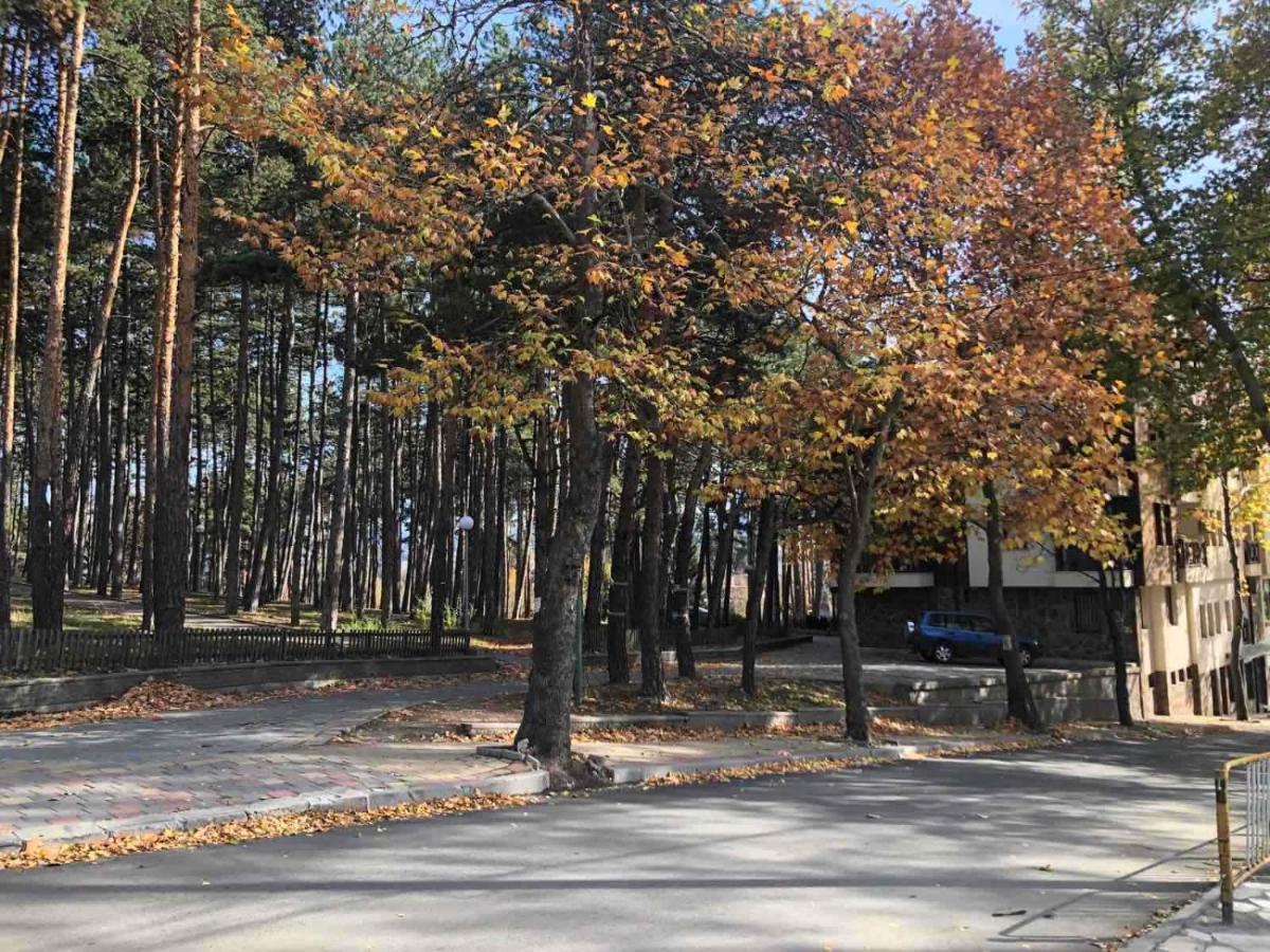 Borov Park 1 Lägenhet Velingrad Exteriör bild