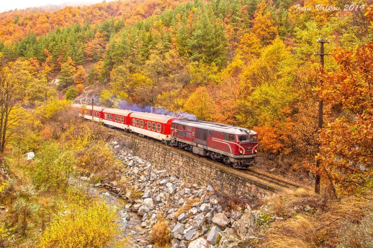 Borov Park 1 Lägenhet Velingrad Exteriör bild