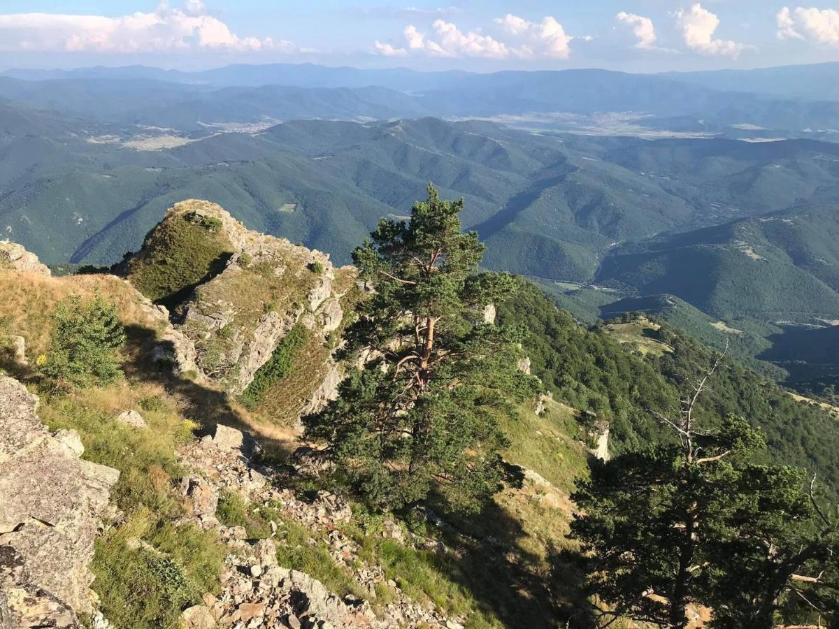 Borov Park 1 Lägenhet Velingrad Exteriör bild